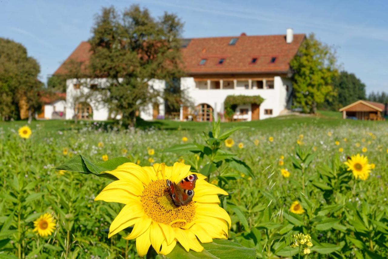 Hagerhof Apartamento Eggstätt Exterior foto
